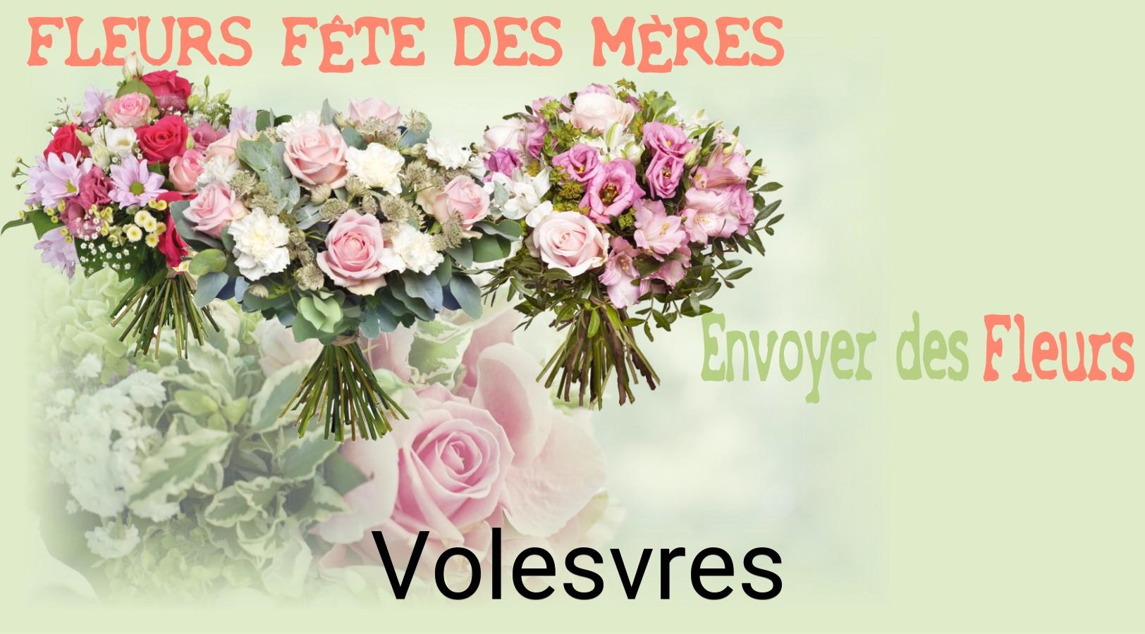 Bouquet de Fête des Mères livré à Volesvres